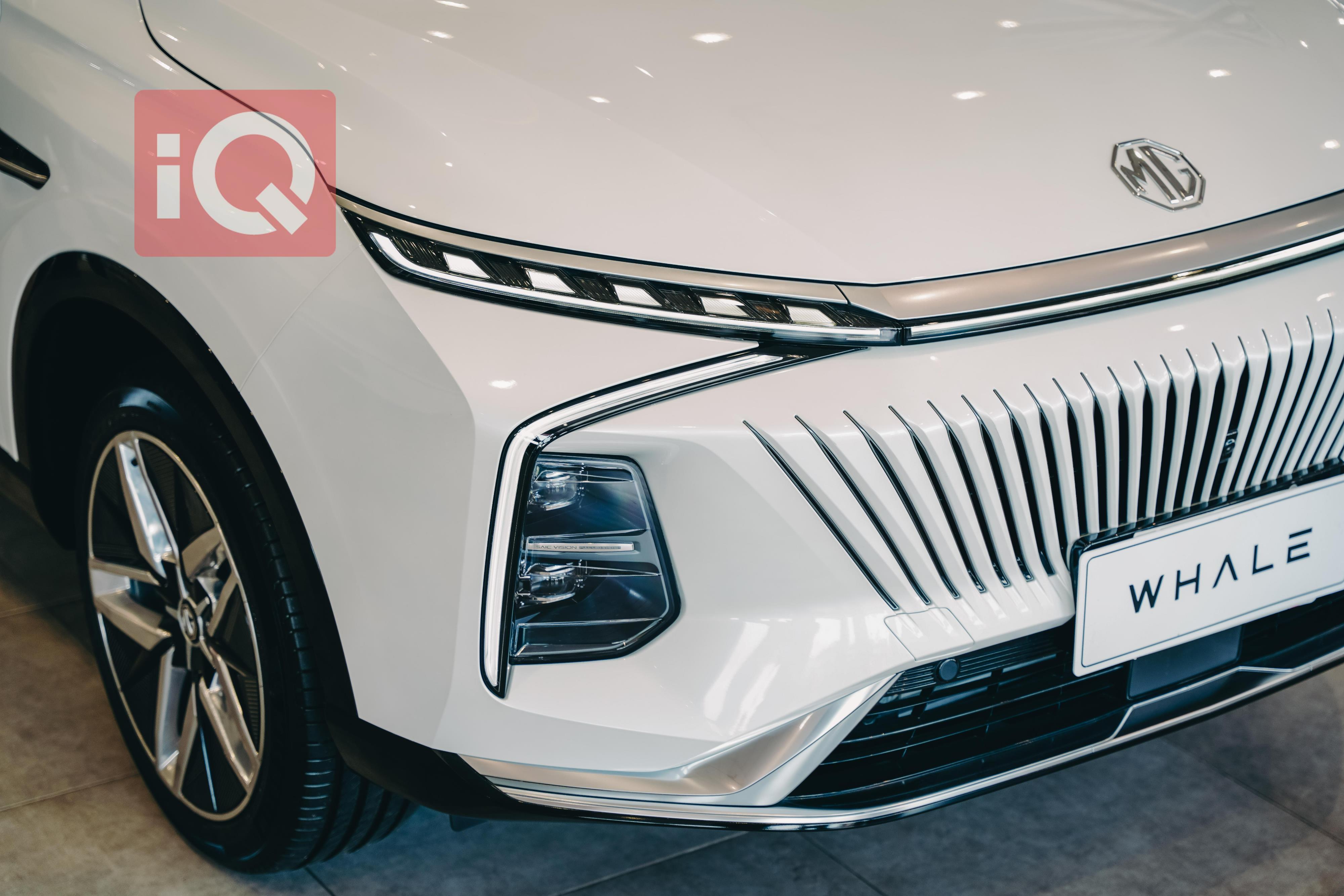 ام جي للبيع في العراق